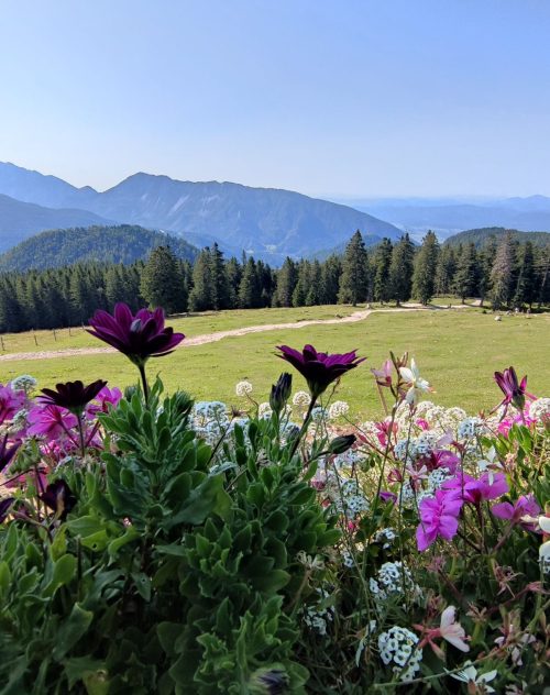 240113829_10225716136753116_3349004493847133825_n